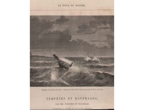 Shipwreck 1869 “Reine du Sud”